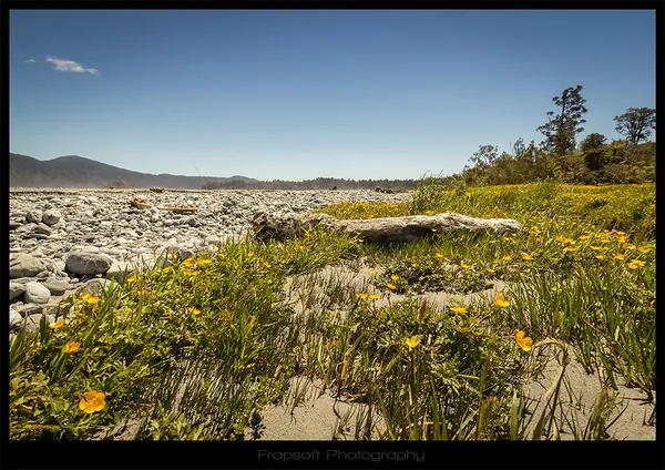 A Beautiful Day on the River - photo 2