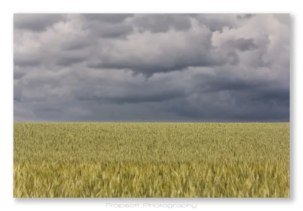 Powerfull Countryside - photo 2