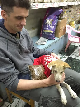 Adopting Another Street Dog - photo 3
