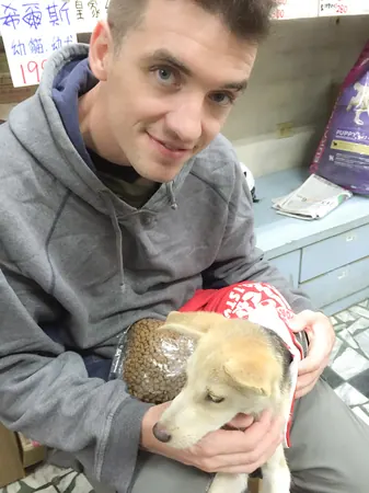 Adopting Another Street Dog - photo 4