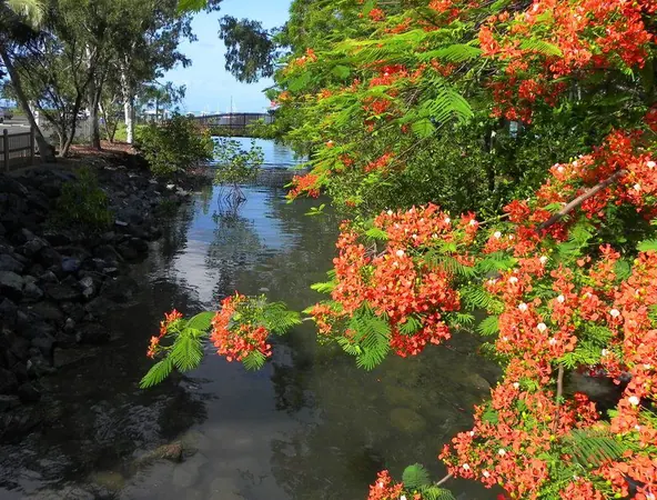 Airlie Beach & Whitsunday Islands - photo 10