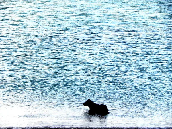 Airlie Beach & Whitsunday Islands - photo 11
