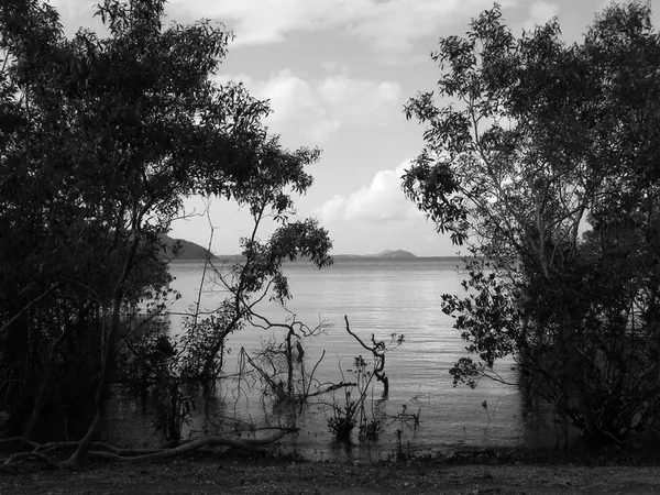 Having a Good Time in Airlie Beach Paradise - photo 4