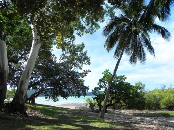 Airlie Beach Paradise - photo 2