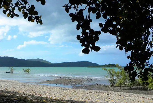 Airlie Beach Paradise - photo 3