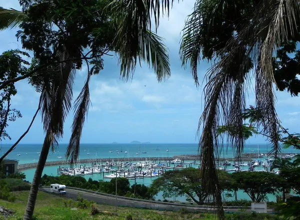 Rainforest Hiking Over Airlie Beach