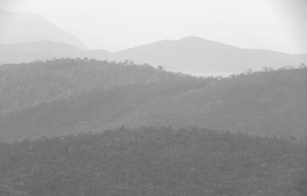 Rainforest Hiking Over Airlie Beach - photo 7