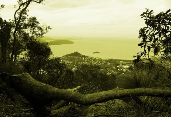 Rainforest Hiking Over Airlie Beach - photo 11