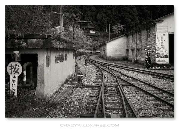 Alishan Mountain – Part II - photo 2