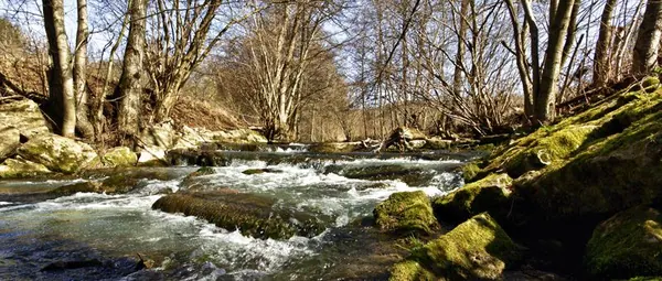 Aschhausen, Bieringen & Westernhausen - photo 2