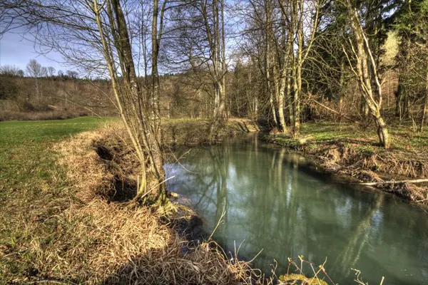 Aschhausen - photo 4