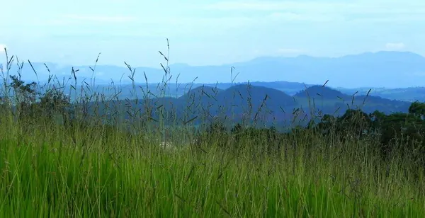Atherton - photo 2