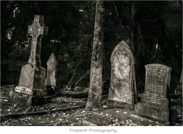 Auckland in Black and White – Part VI