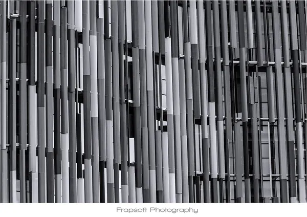 Auckland Black and White – Part I