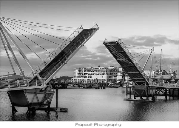 Auckland Black and White – Part I - photo 2
