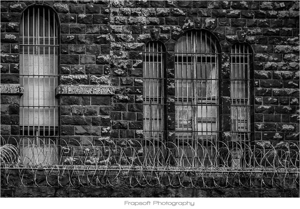 Auckland Black and White – Part I - photo 4
