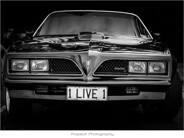 Auckland Black and White – Part II - photo 4