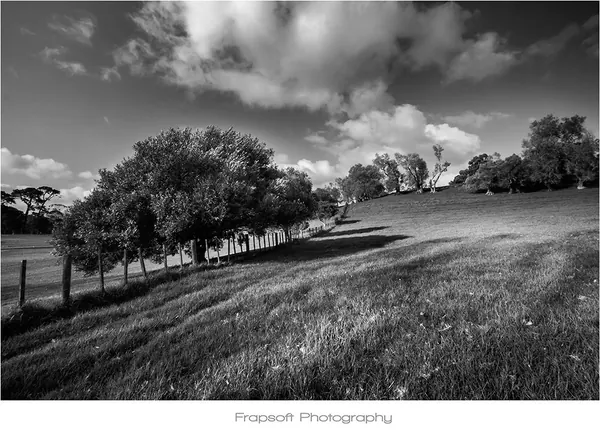 Auckland in Black and White – Part III