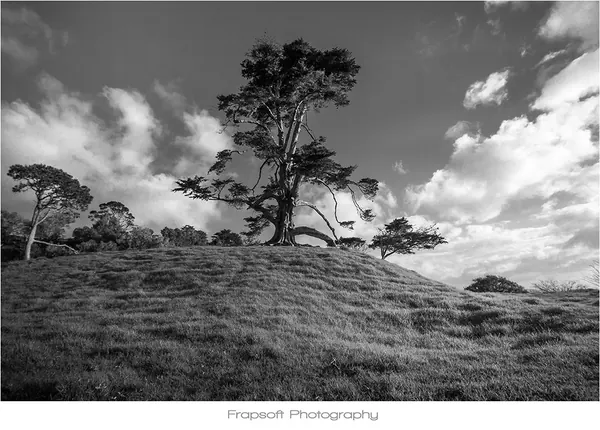 Auckland in Black and White – Part III - photo 2