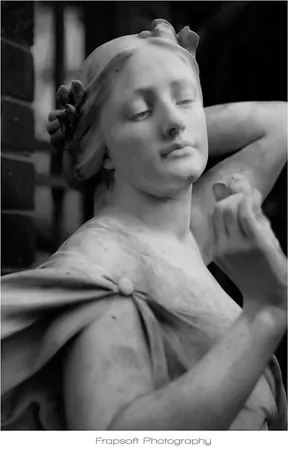 Auckland in Black and White – Part V