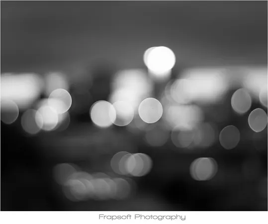 Auckland in Black and White – Part V - photo 3
