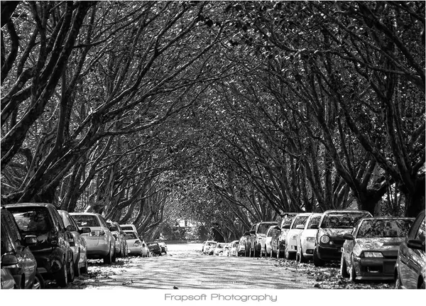 Auckland in Black and White – Part I