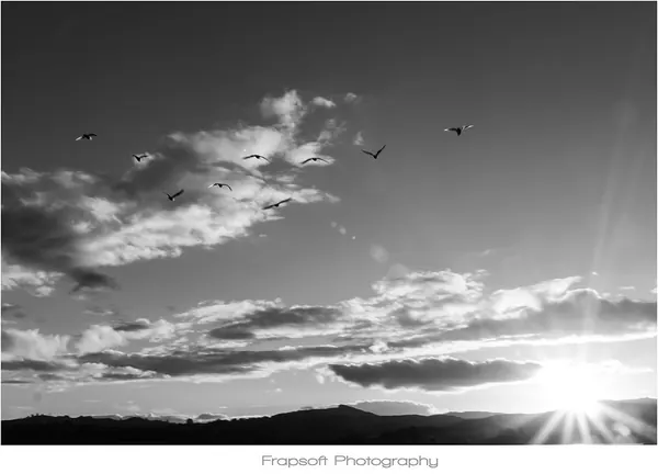 Auckland Black and White – Part III - photo 4