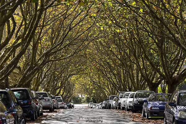 Life Is Good (Auckland)
