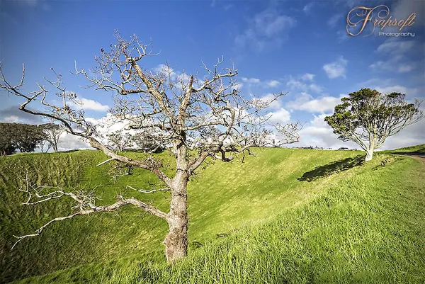 Life Is Good (Auckland) - photo 2