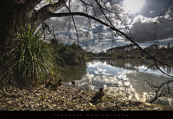 Life Is Good (Auckland) - photo 4