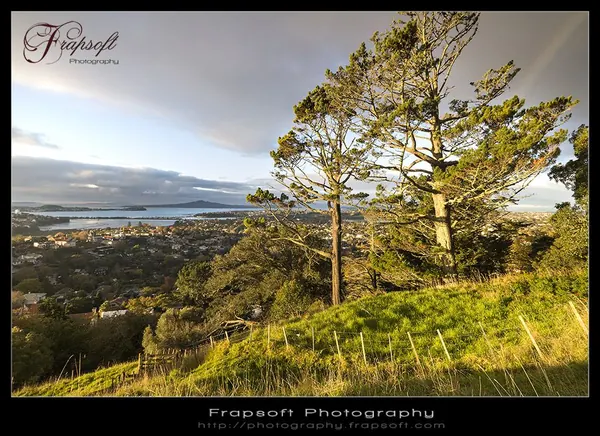 Auckland – Part I - photo 3