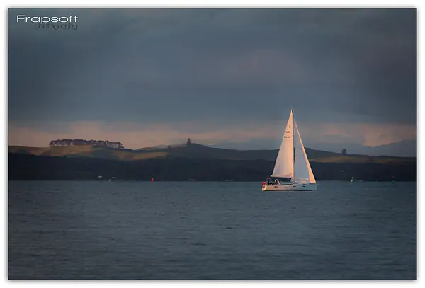 Seaside Auckland - photo 3