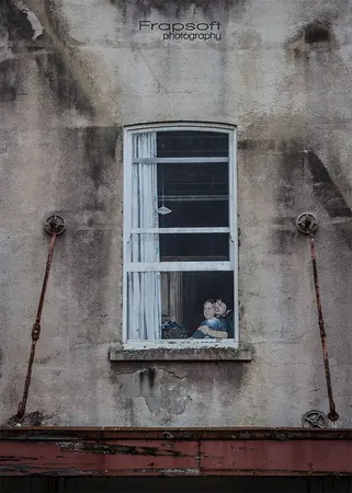 Auckland Streetart - photo 4
