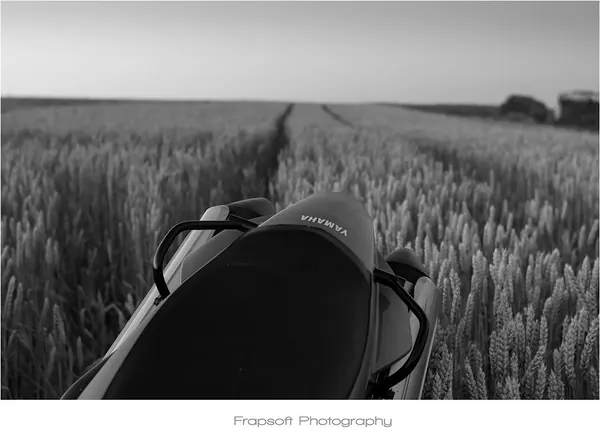 Back in Germany – Part I - photo 4