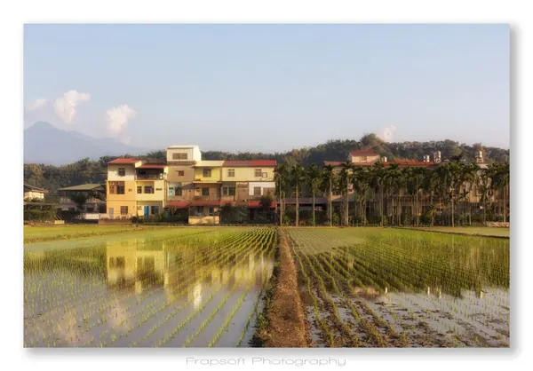 Back in Taiwan – Part III - photo 2