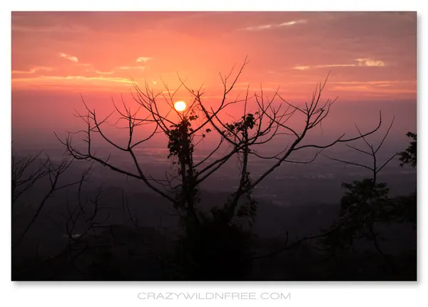 Baihe District - photo 4