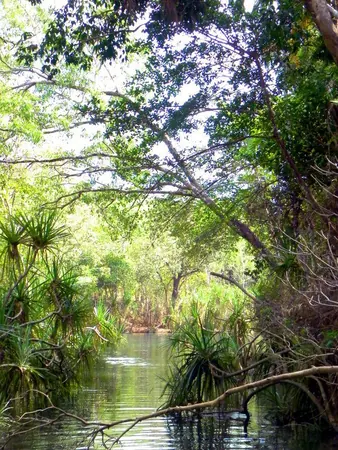 Darwin – Part II