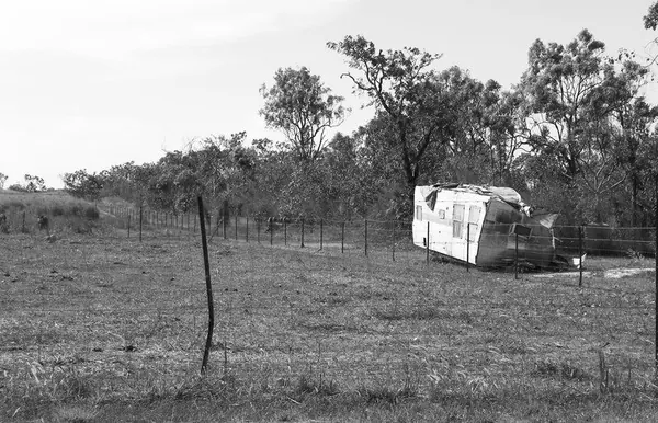 Darwin – Part II - photo 4