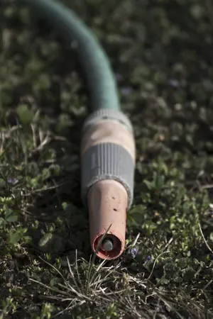 Bieringen - photo 6