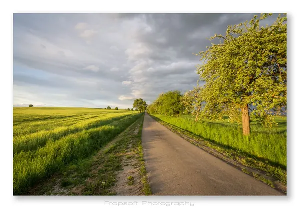 Bieringen Sunset - photo 3