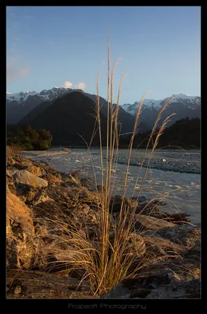 Bike Tour Around Franz Josef