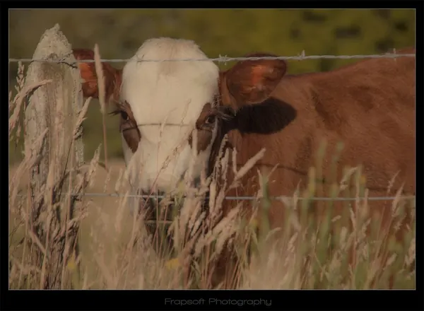 Bike Trip Around Franz Josef - photo 4