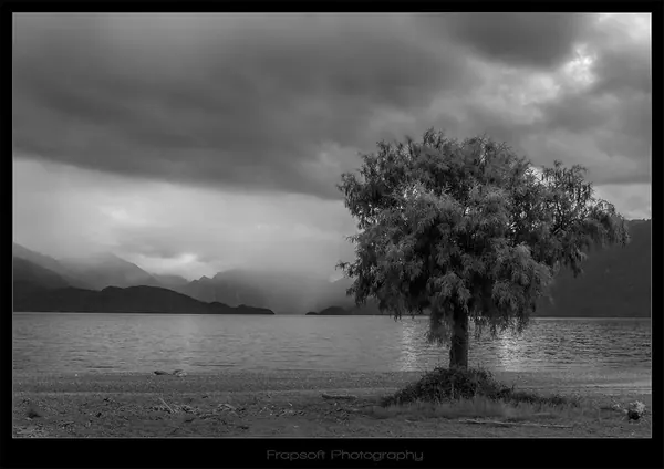 Bike Trip Around Te Anau