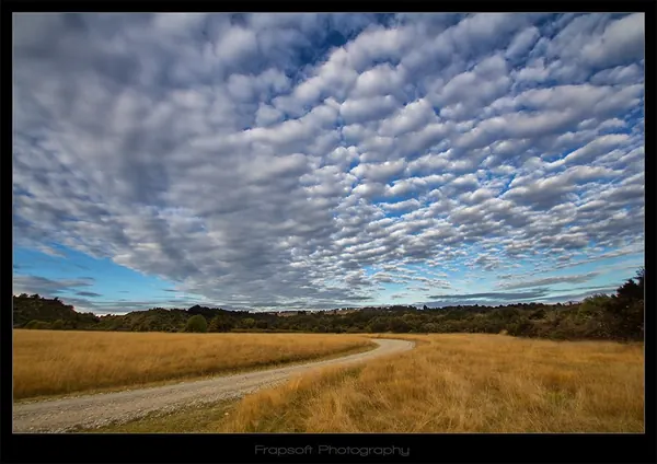 Bike Trip Around Te Anau - photo 4