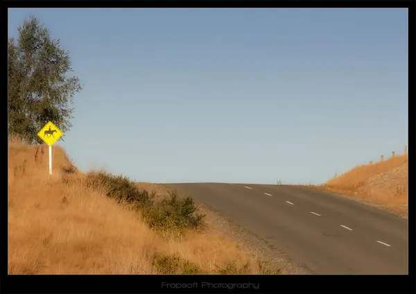 Bike Tour with Jessie - photo 4