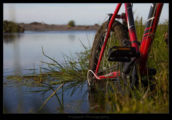 Bike Tour Around Franz Josef Area - photo 8