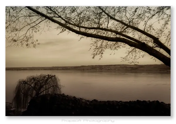 Down on the River - photo 4