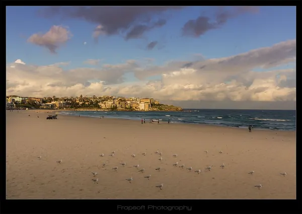 Bondi Beach Sportz