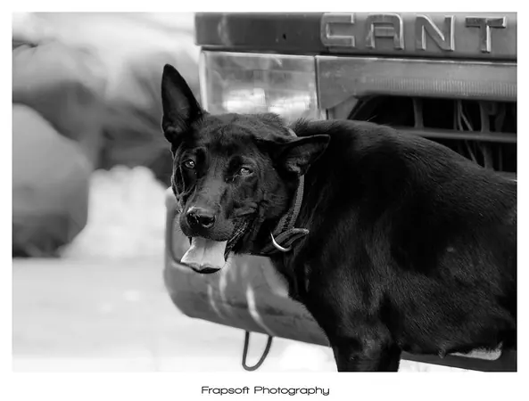 Bonnie in Black and White – Part I