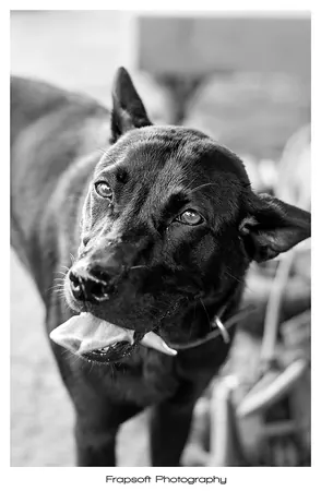 Bonnie in Black and White – Part I - photo 4